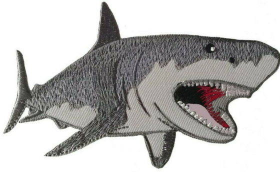 Lo squalo di Great White ha ricamato il ferro della toppa sul fondo del tessuto della saia di applique