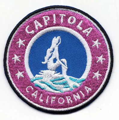 Patch di ferro su ricamo personalizzato Patch di logo ricamato
