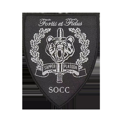 Patch di ricamo tessuto su misura per abbigliamento ferro su modello sostenibile