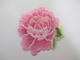 Ferro su ordinazione di dimensione sul rosa Rose Herbaceous Peony Flower della toppa del ricamo